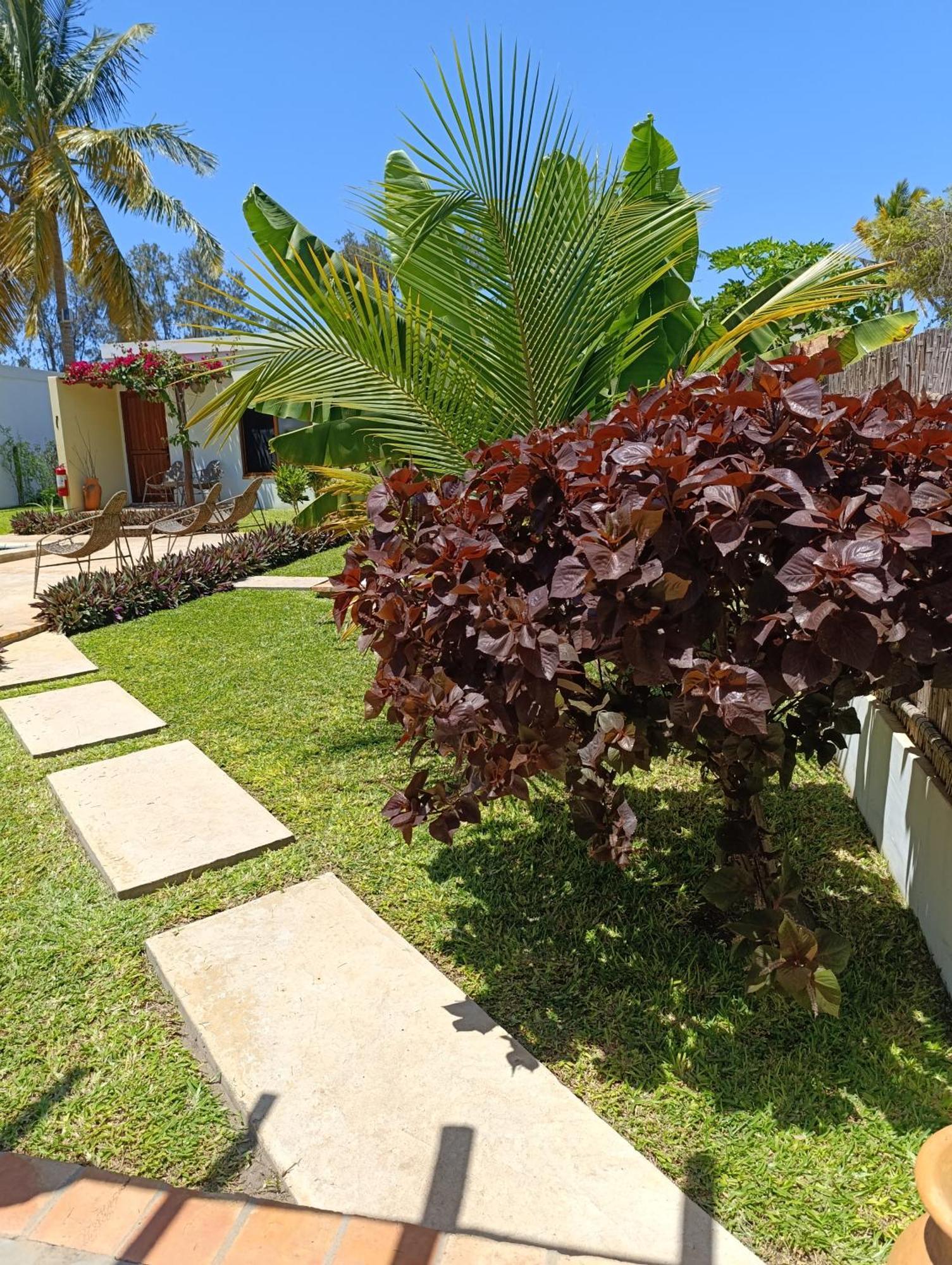 Telvina Beach Lodge ビランクロス エクステリア 写真